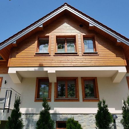Pod Modrzewiami Apartment Krynica Zdroj Bagian luar foto