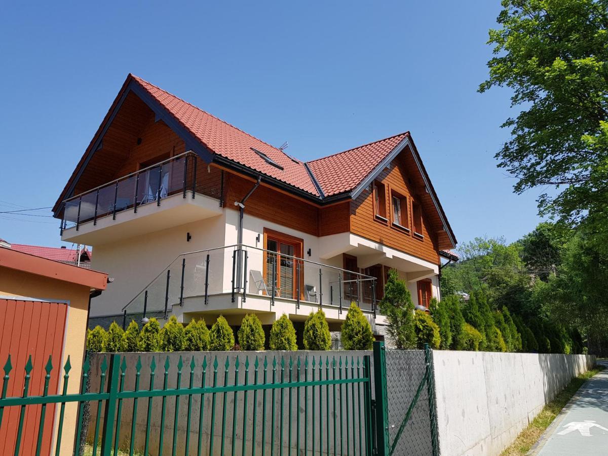 Pod Modrzewiami Apartment Krynica Zdroj Bagian luar foto