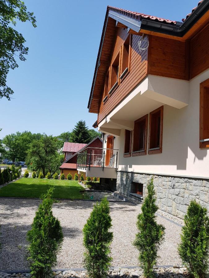 Pod Modrzewiami Apartment Krynica Zdroj Bagian luar foto