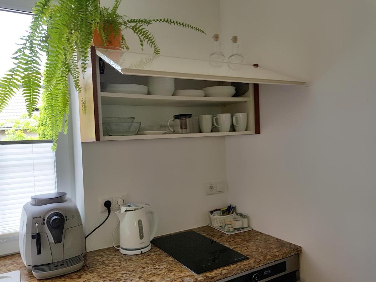 Pod Modrzewiami Apartment Krynica Zdroj Bagian luar foto