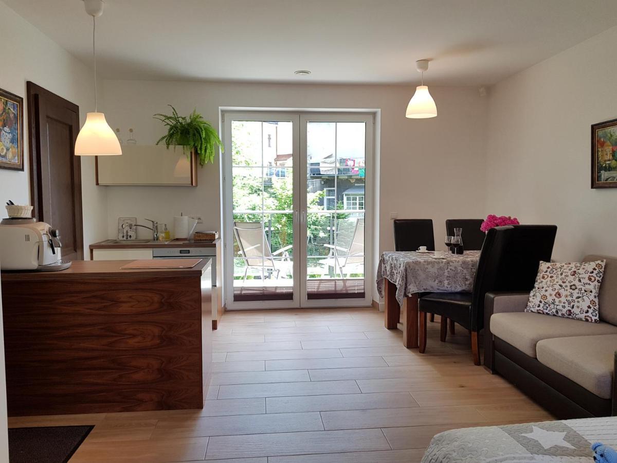 Pod Modrzewiami Apartment Krynica Zdroj Bagian luar foto