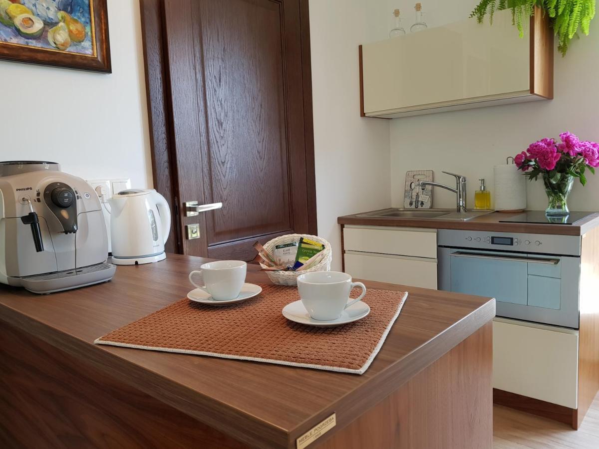 Pod Modrzewiami Apartment Krynica Zdroj Bagian luar foto